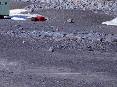 ASD-1992-site712L.jpg