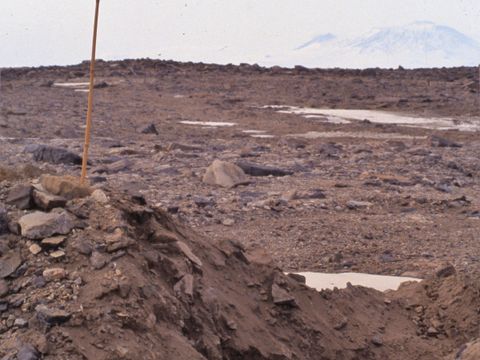 ASD-1991-site624.jpg