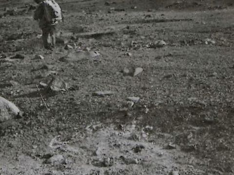 ASD-1972-site311-2.jpg