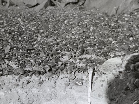 ASD-1964-site093.jpg