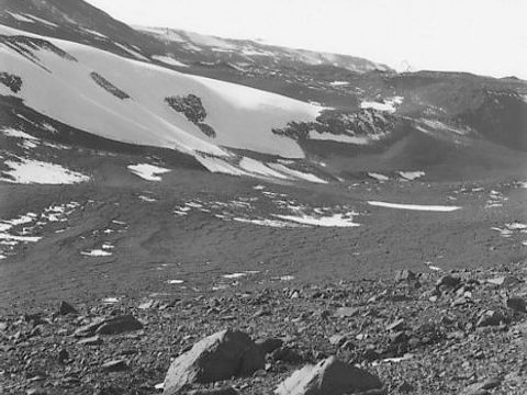 ASD-1982-site510L.jpg