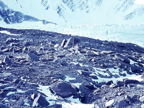 ASD-1964-site013L.jpg