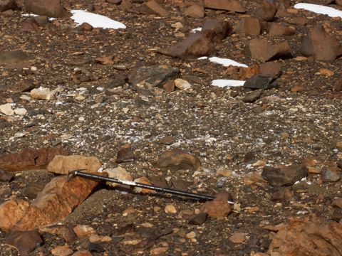 1998-060-Surface-salts-accumulation-at-a-1987-soil-pit-site-at-New-Mountain.jpg