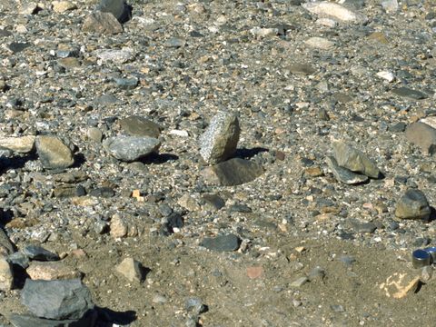 ASD-1999-site850.jpg