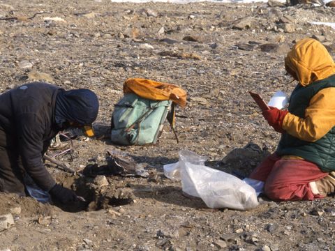 1991-159G-Claridge-M-Balks-collecting-soil-samples.jpg