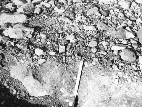 ASD-1964-site052.jpg