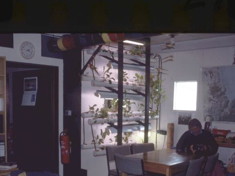 1991-309-M-Balks-inside-Greenpeace-base.jpg