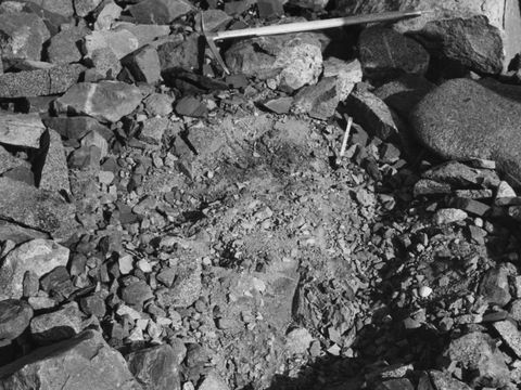 ASD-1964-site045.jpg