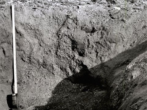ASD-1972-site313.jpg