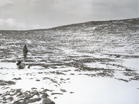 ASD-1977-site395L.jpg