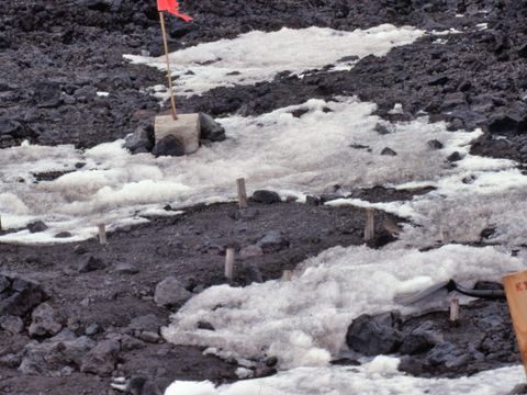 ASD-1991-site660-652.jpg