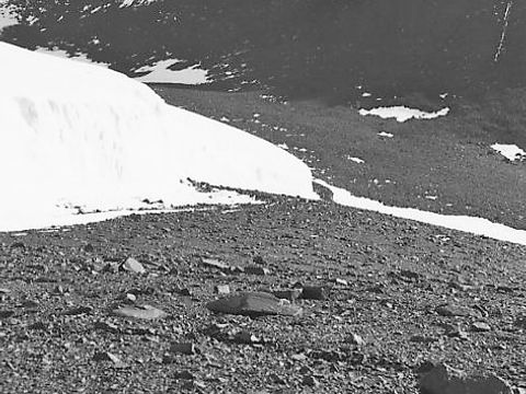 ASD-1982-site509L.jpg
