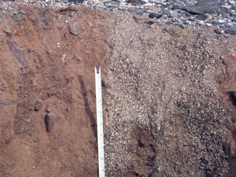 ASD-1972-site332.jpg