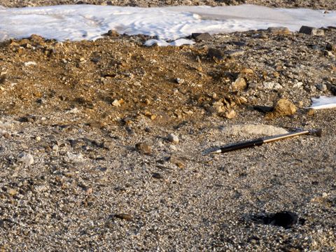 1991-059-Site-of-the-previous-years-soil-examination-showing-visible-disturbance.jpg