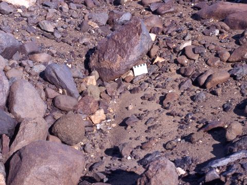 ASD-1987-site531.jpg