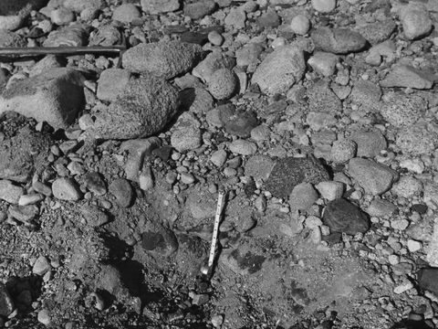 ASD-1964-site048.jpg