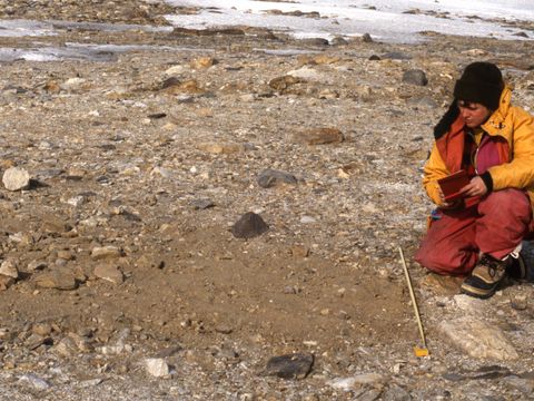 1991-084-M-Balks-assessing-disturbance-after-a-pit-excavation-at-Marble-Point.jpg