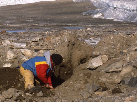 1990-138-M-Balks-excavating-an-old-soil-mound-at-Marble-Point.jpg