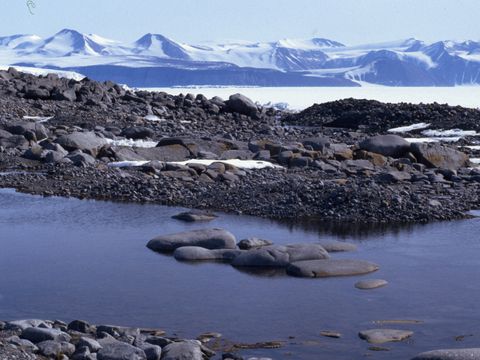 1992-173-Landscape-view-at-Cape-Roberts.jpg