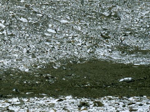 ASD-1999-site-915.jpg