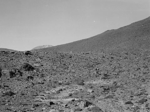ASD-1964-site101L.jpg