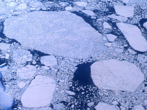 1995-Dec-074-pancake-ice.jpg