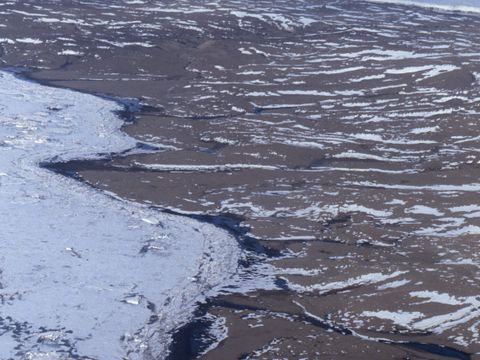 1992-013e-Taylor-Valley-sea-ice-edge.jpg