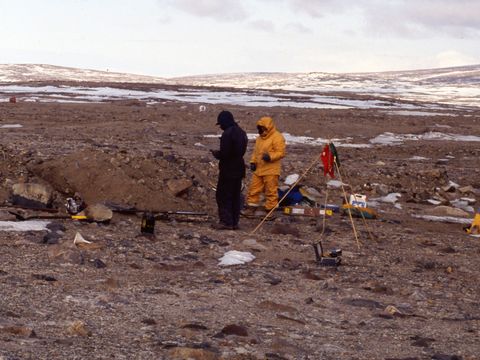 ASD-1991-site-624L.jpg