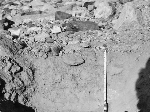 ASD-1964-site122.jpg