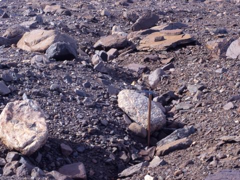 ASD-1987-site526L.jpg