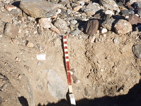 ASD-1978-site424.jpg