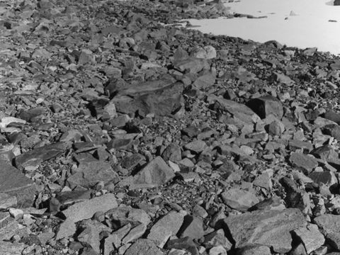 ASD-1964-site052L.jpg