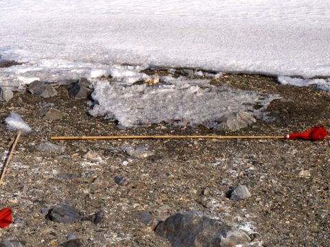 1991-082-Boot-imprint-trial-site-at-Marble-Point.jpg