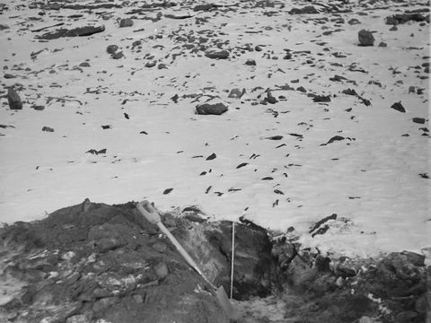 ASD-1964-site140L.jpg
