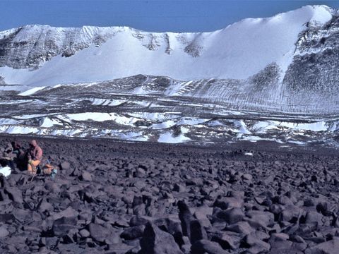 ASD-1982-site496L.jpg