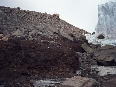 ASD-1972-site316.jpg
