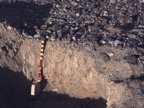 ASD-1979-site458.jpg