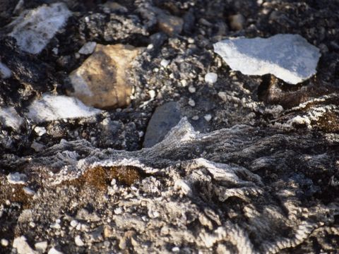 1990-070-Salt-deposit-on-fabric-remains-at-old-Marble-Point-construction-camp.jpg