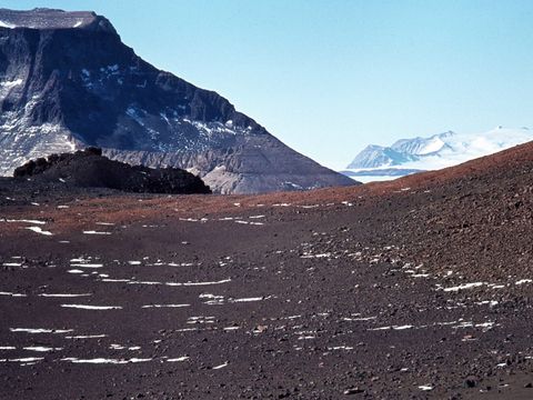 ASD-1978-site444L.jpg