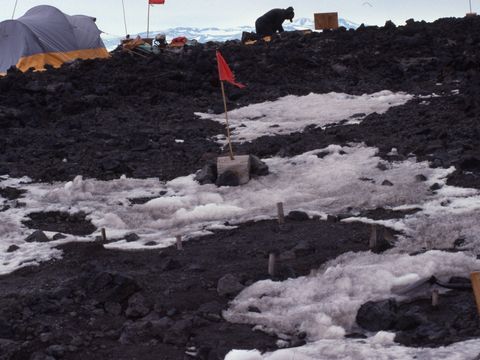 1991-321-G-Claridge-sampling-the-LiCl-leaching-trial-site-at-Scott-Base.jpg