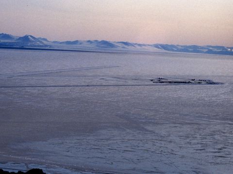 1991-011-Williams-Field-on-the-Ross-Ice-Shelf.jpg