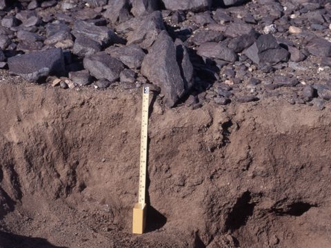 ASD-1987-site530.jpg