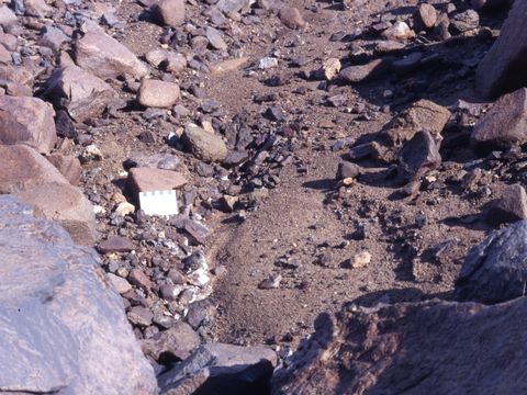 ASD-1987-site531L.jpg