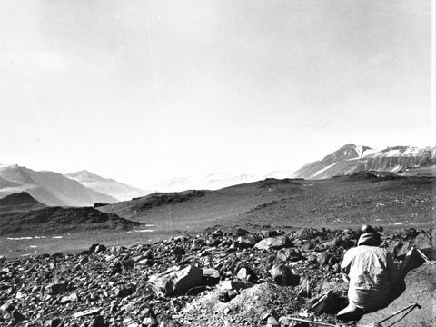 ASD-1972-site342L.jpg