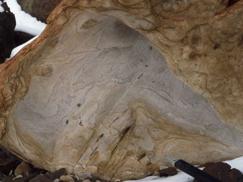 1998-019-Cavernous-weathering-in-sandstone-boulder.jpg