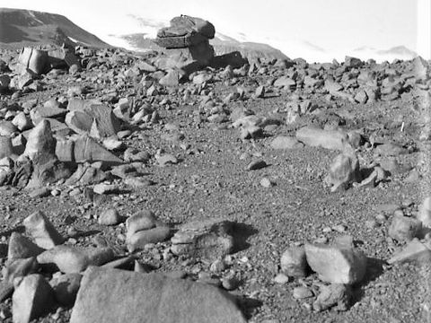 ASD-1982-site511L.jpg