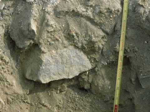 ASD-1999-site864.jpg