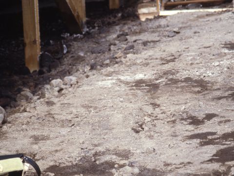 ASD-1994-site740.jpg