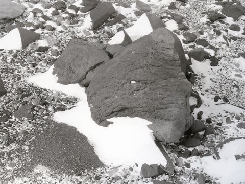 ASD-1977-site389.jpg