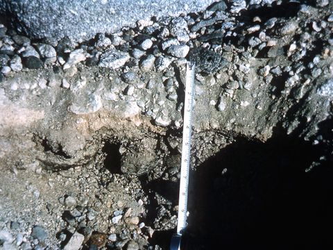 ASD-1964-site034.jpg